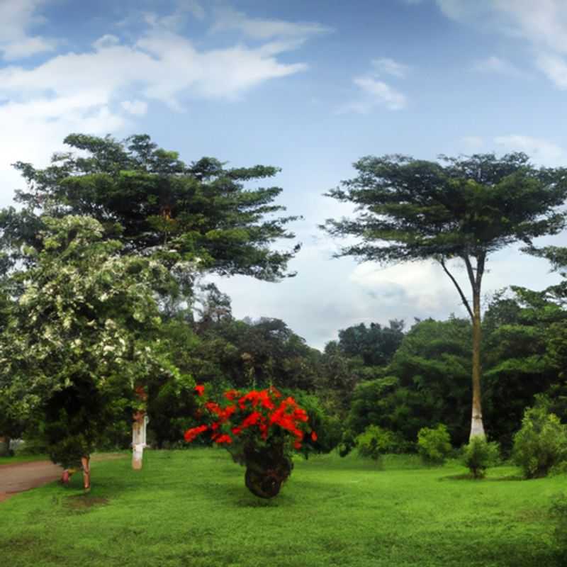 Un voyageur d'affaires solitaire se promenant avec émerveillement dans les magnifiques jardins botaniques d'Entebbe, en Ouganda, pendant son séjour printanier.