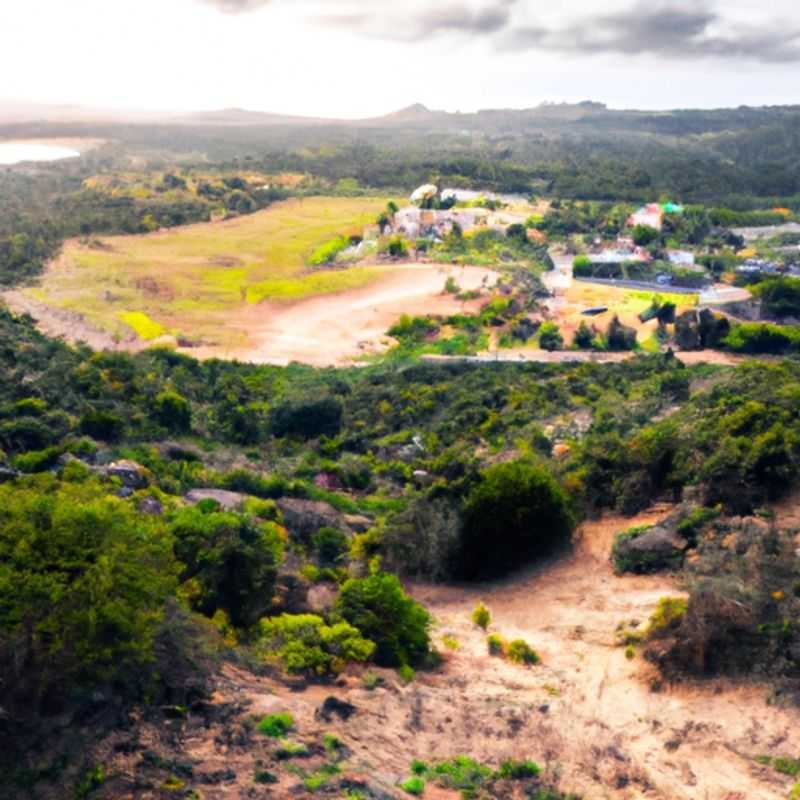 Addo Raptor and Reptile Centre: A Unique Wildlife Experience in the Heart of South Africa's Elephant Country