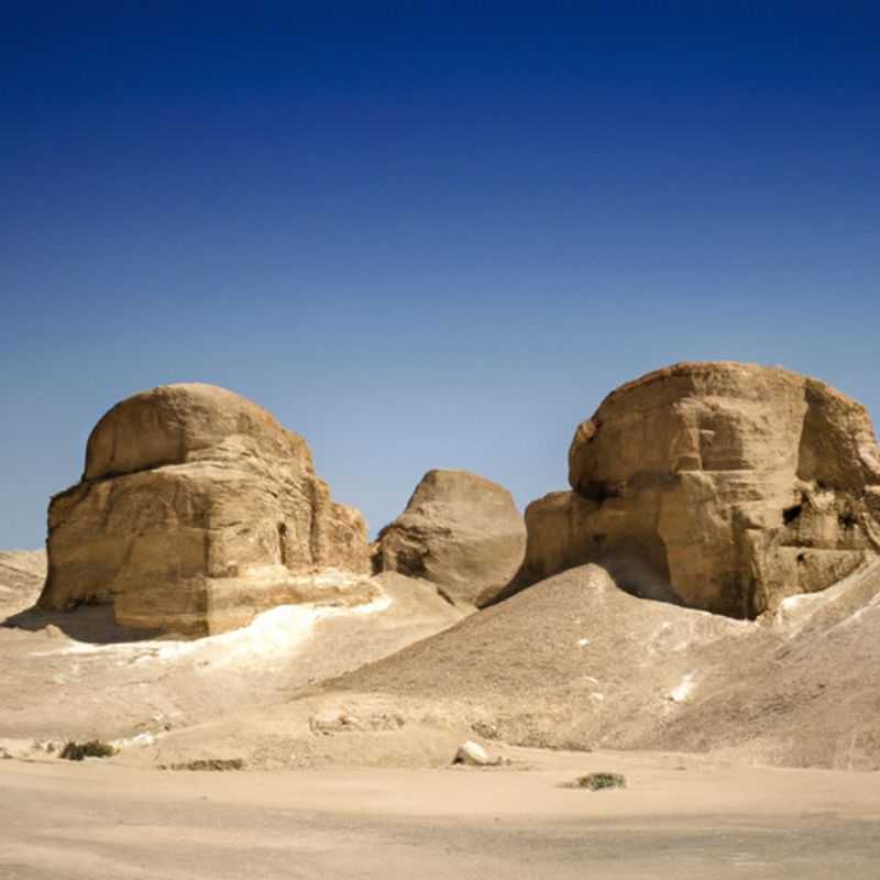 Visite du monastère Saint-Macaire à Wadi El Rayan au printemps
