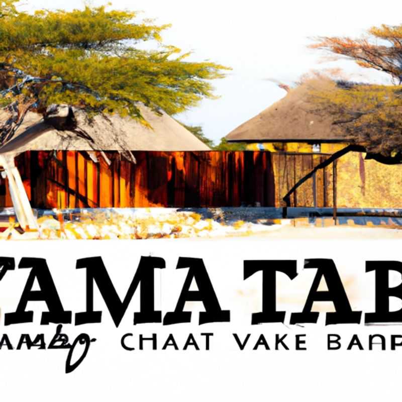 Sur la piste de la faune insaisissable : Visite du pan d'Etosha en hiver